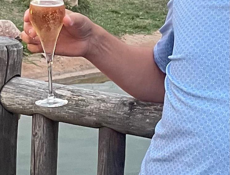 Profil de Bony, 40 ans, Gay club à Sursee (Lucerne)
